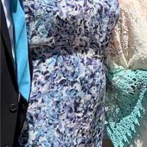 cupcakes & cashmere Blue and Cream Floral Lace Mini Dress